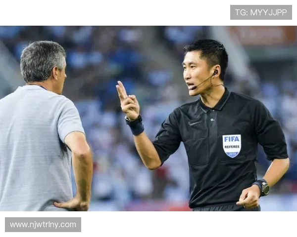 马里主帅圣菲特离任八强回顾